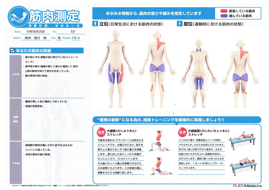 ゆがみーるLITE 姿勢分析 - その他